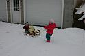 Picture 2778